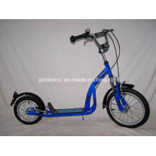 Trottinette en acier (SC1612C)